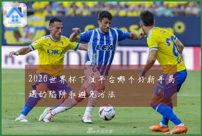 2026世界杯下注平台哪个好新手易遇的陷阱和避免方法