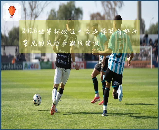 2026世界杯投注平台选择时有哪些常见的风险和避坑建议