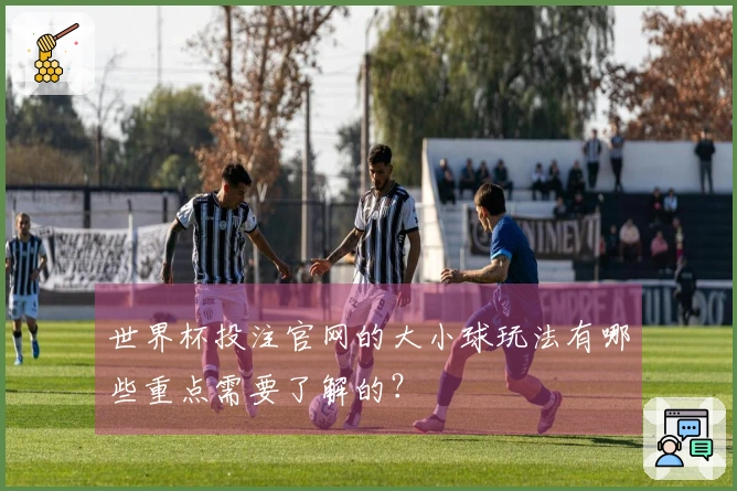 世界杯投注官网的大小球玩法有哪些重点需要了解的？