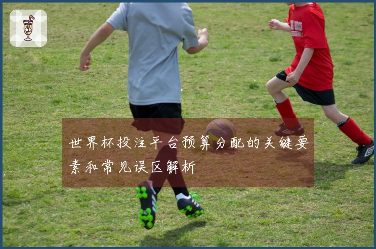 世界杯投注平台预算分配的关键要素和常见误区解析