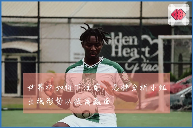 世界杯如何下注前，怎样分析小组出线形势以提高赢面