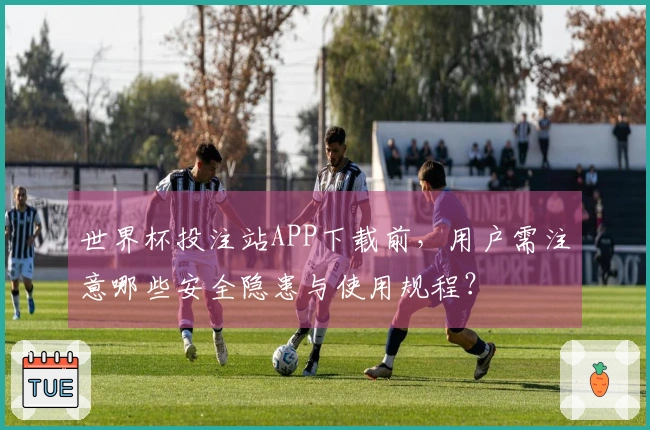 世界杯投注站APP下载前，用户需注意哪些安全隐患与使用规程？