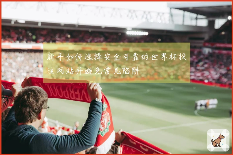 新手如何选择安全可靠的世界杯投注网站并避免常见陷阱
