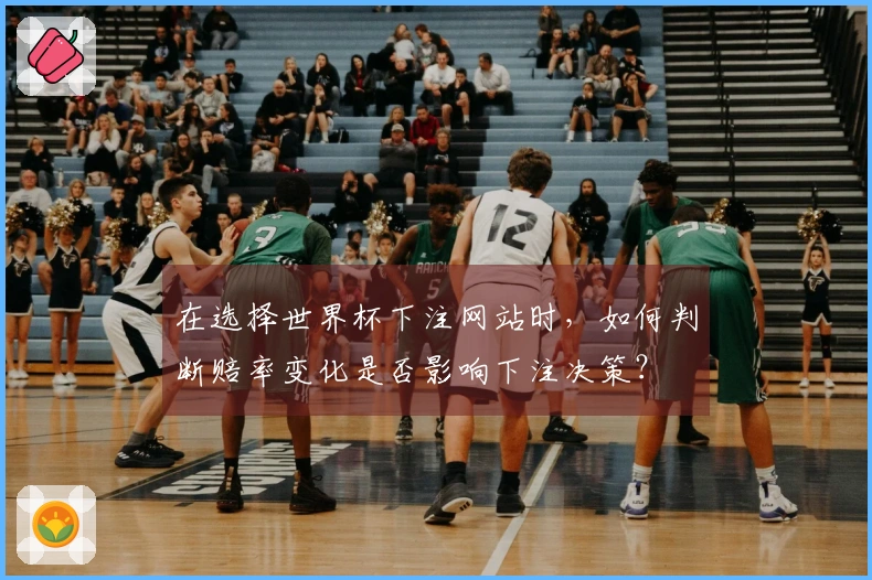 在选择世界杯下注网站时，如何判断赔率变化是否影响下注决策？