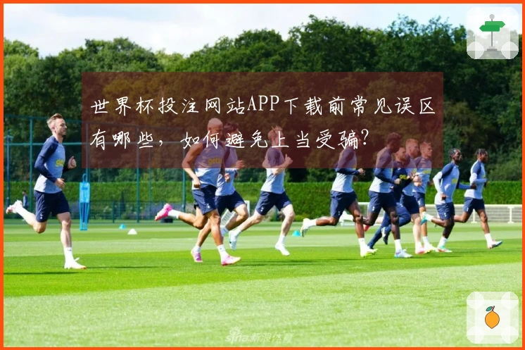 世界杯投注网站APP下载前常见误区有哪些，如何避免上当受骗？
