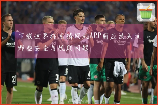 下载世界杯竞猜网站APP前应该关注哪些安全与规则问题