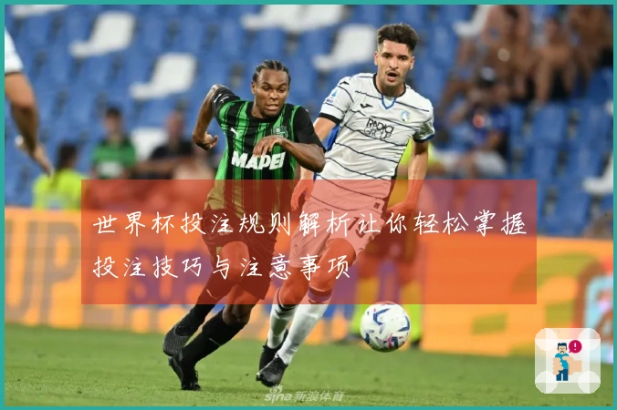 世界杯投注规则解析让你轻松掌握投注技巧与注意事项