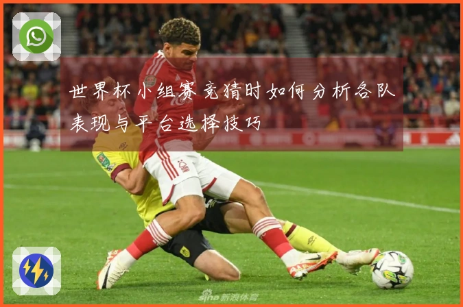 世界杯小组赛竞猜时如何分析各队表现与平台选择技巧