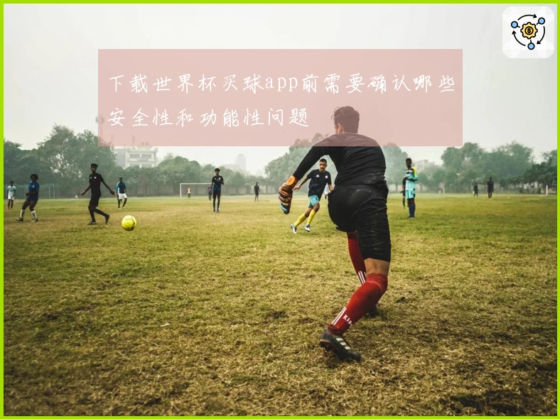 下载世界杯买球app前需要确认哪些安全性和功能性问题