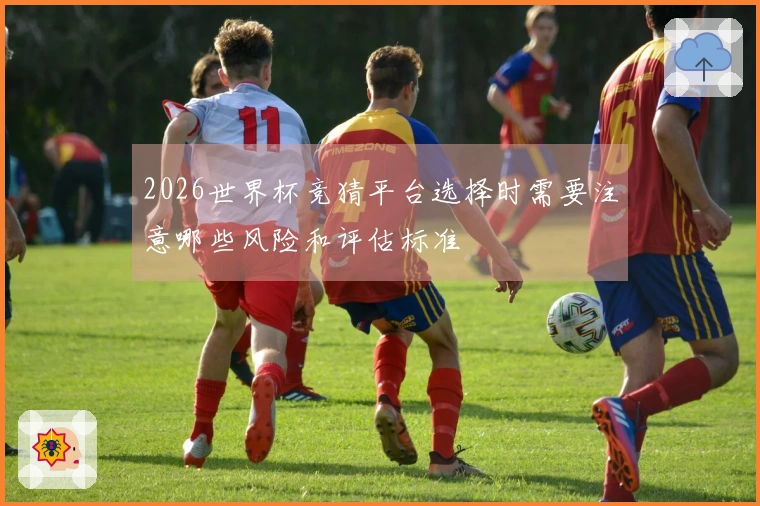 2026世界杯竞猜平台选择时需要注意哪些风险和评估标准