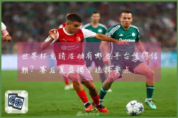 世界杯竞猜活动有哪些平台值得信赖？赛后复盘揭示选择要点