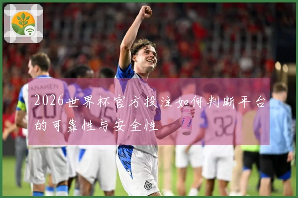 2026世界杯官方投注如何判断平台的可靠性与安全性