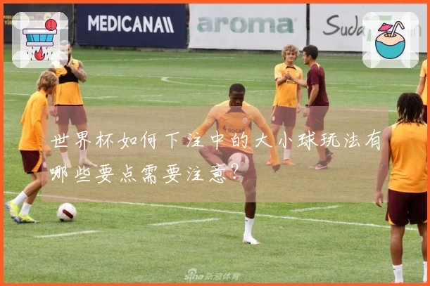 世界杯如何下注中的大小球玩法有哪些要点需要注意？