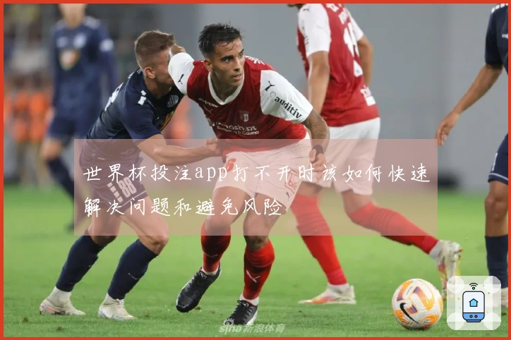世界杯投注app打不开时该如何快速解决问题和避免风险