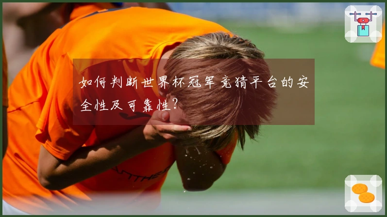 如何判断世界杯冠军竞猜平台的安全性及可靠性？