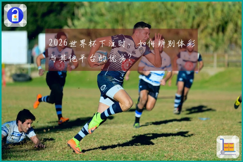 2026世界杯下注时，如何辨别体彩与其他平台的优劣？