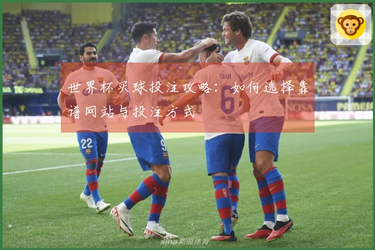 世界杯买球投注攻略：如何选择靠谱网站与投注方式