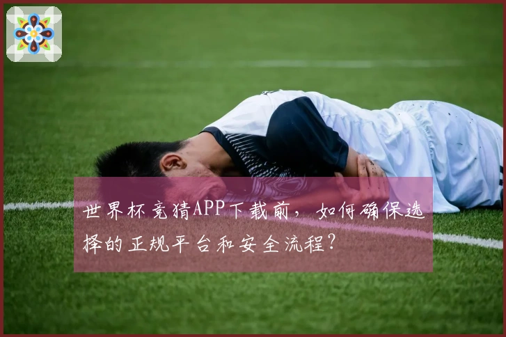 世界杯竞猜APP下载前，如何确保选择的正规平台和安全流程？