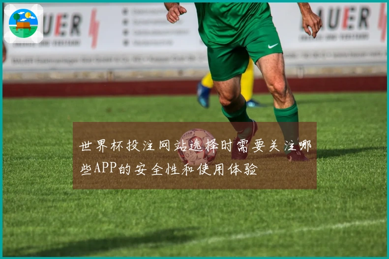 世界杯投注网站选择时需要关注哪些APP的安全性和使用体验