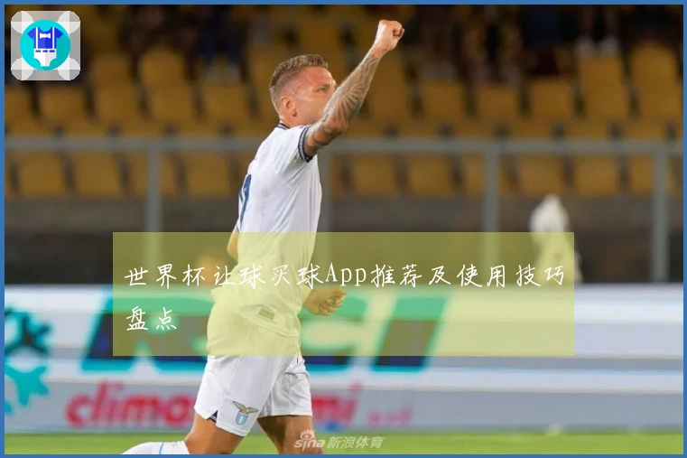 世界杯让球买球App推荐及使用技巧盘点