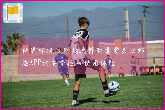世界杯投注网站选择时需要关注哪些APP的安全性和使用体验