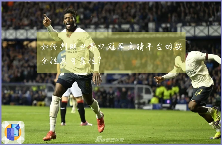 如何判断世界杯冠军竞猜平台的安全性及可靠性？