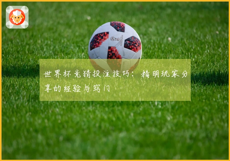 世界杯竞猜投注技巧：精明玩家分享的经验与窍门
